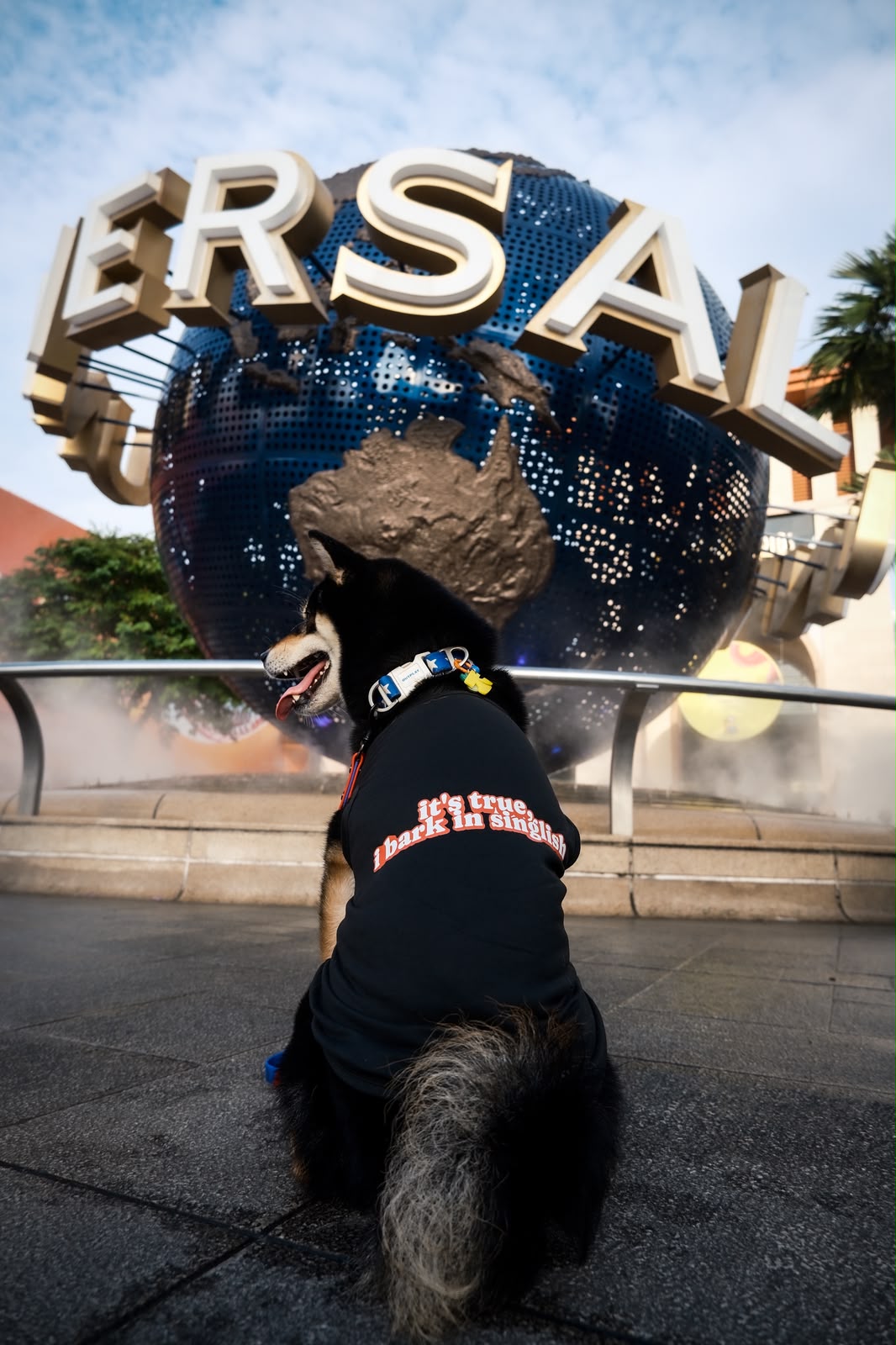 it's true, i bark in singlish pup tee (black)