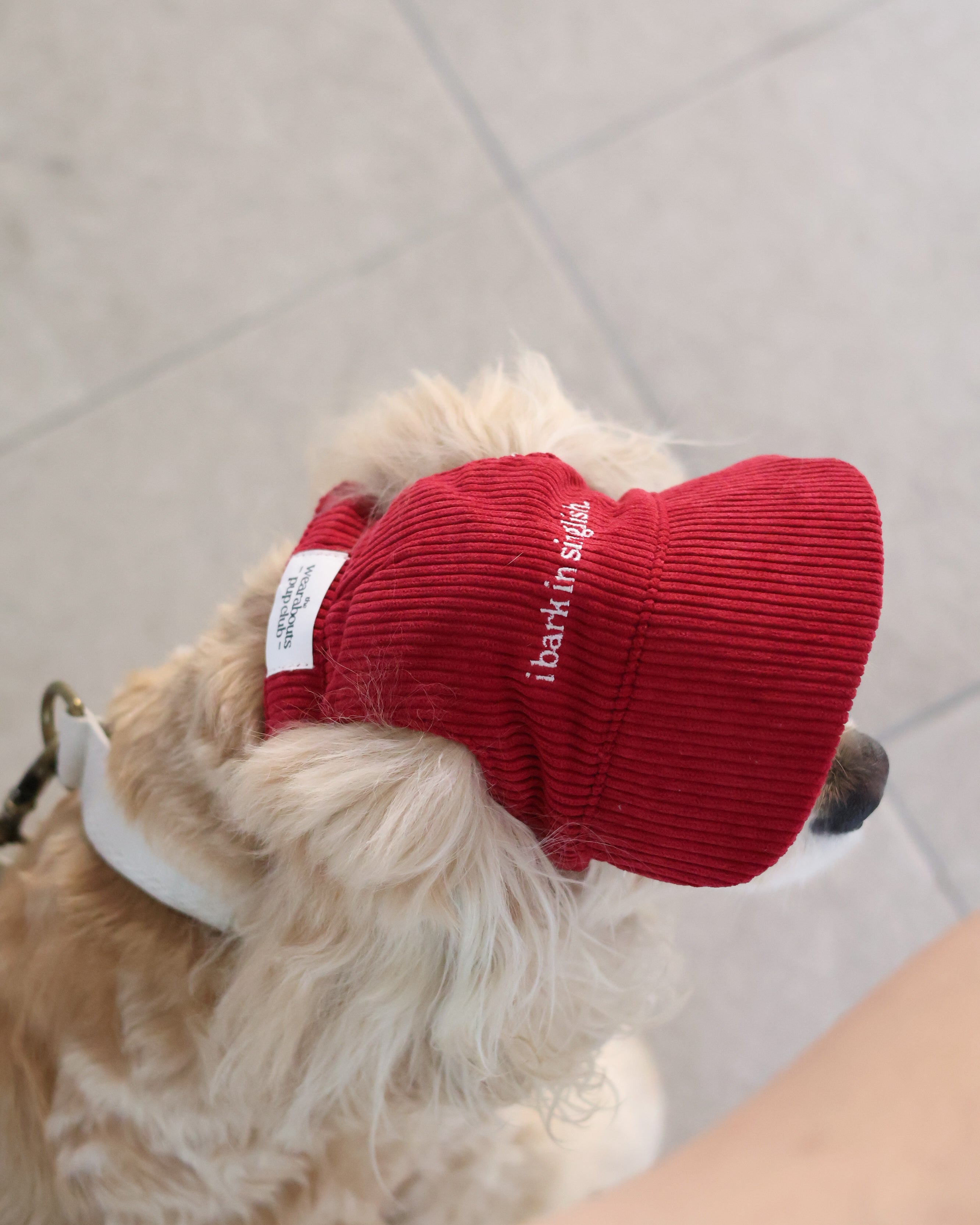 i bark in singlish pup hat