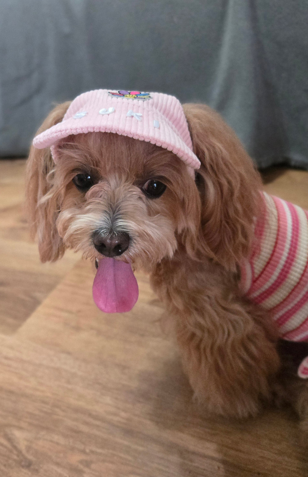 corduroy pup hat (powder pink)