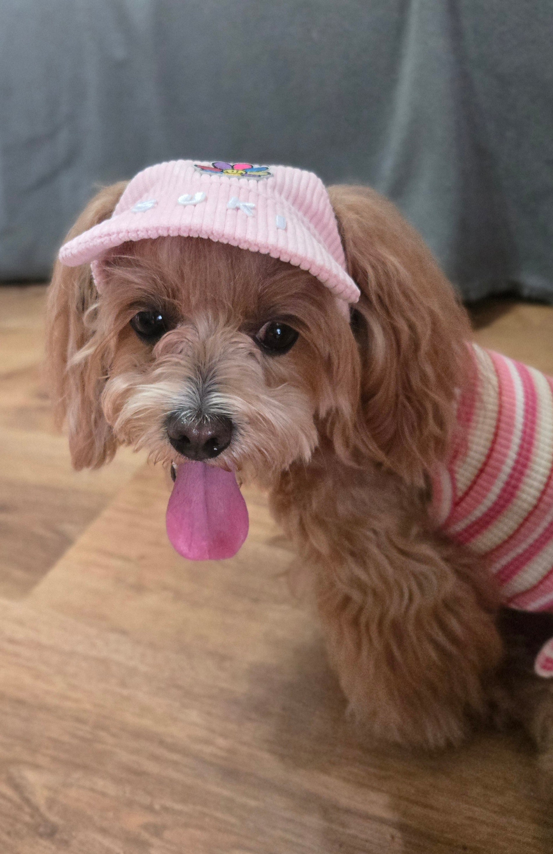 corduroy pup hat (powder pink)