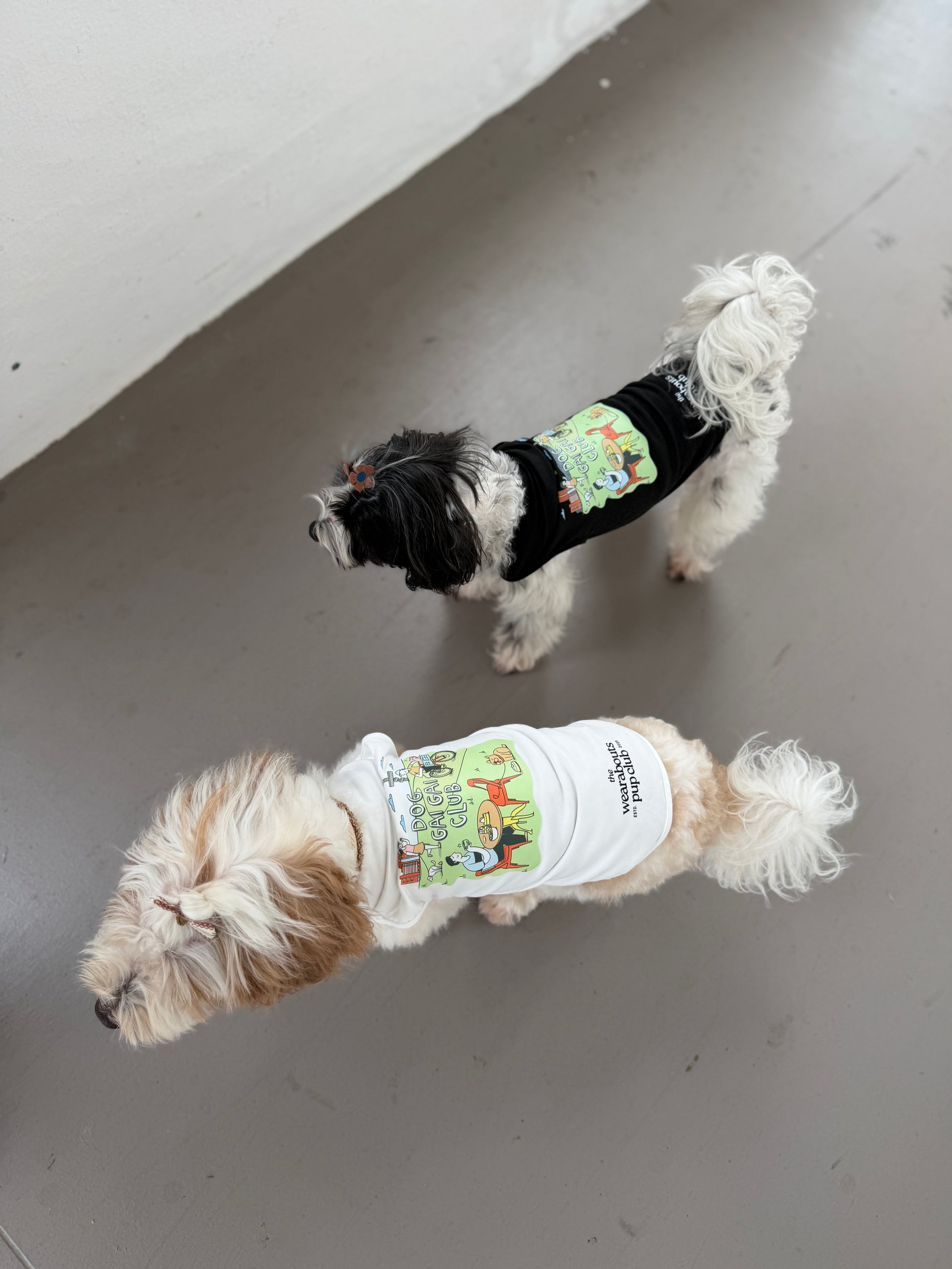 dog gai gai pup tee (black)