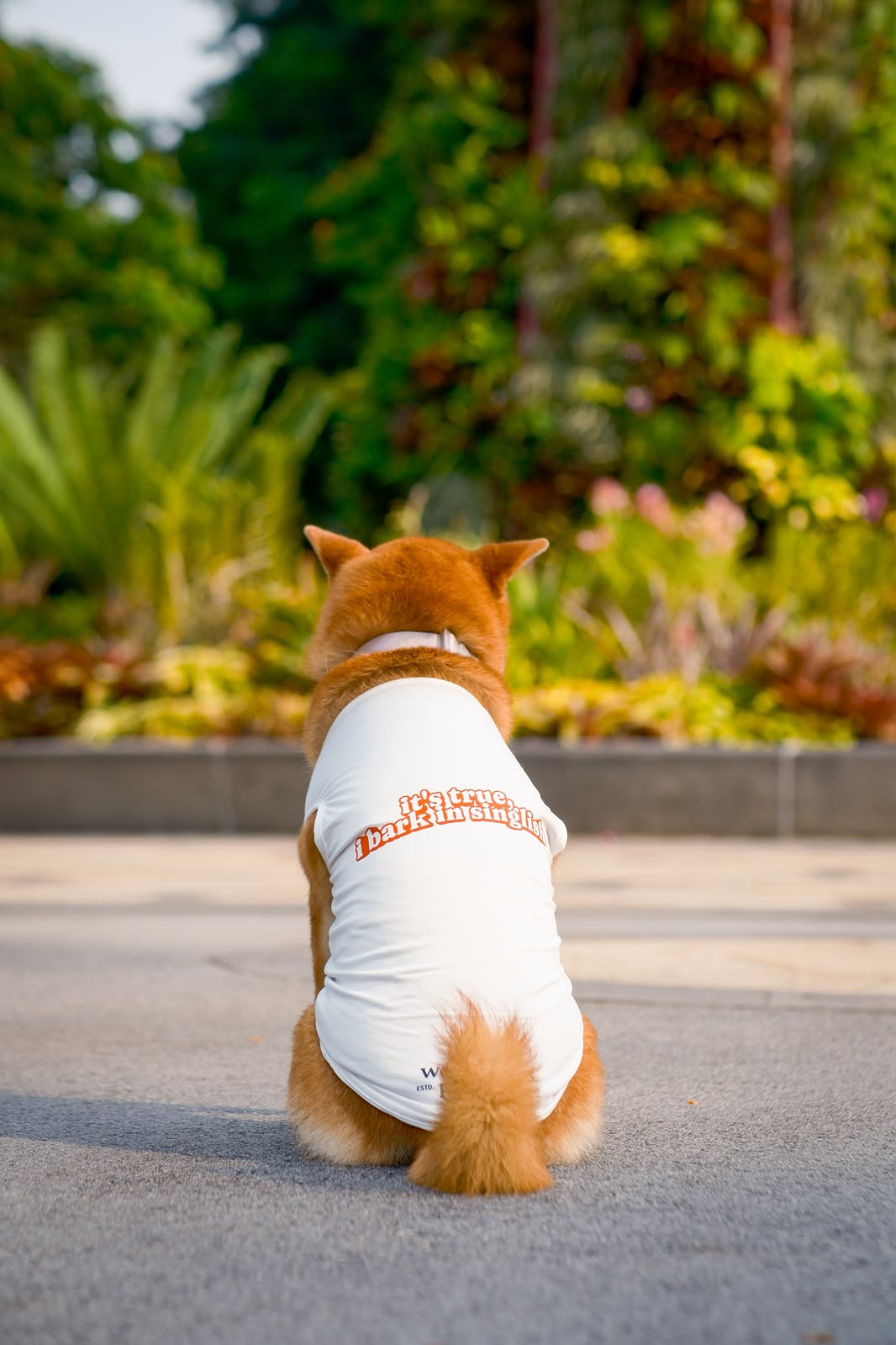 it's true, i bark in singlish pup tee (white)