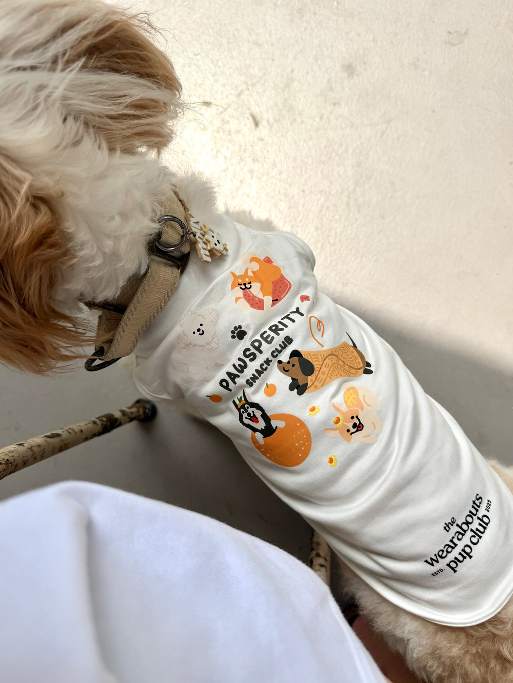 pawsperity snack club pup tee (white)