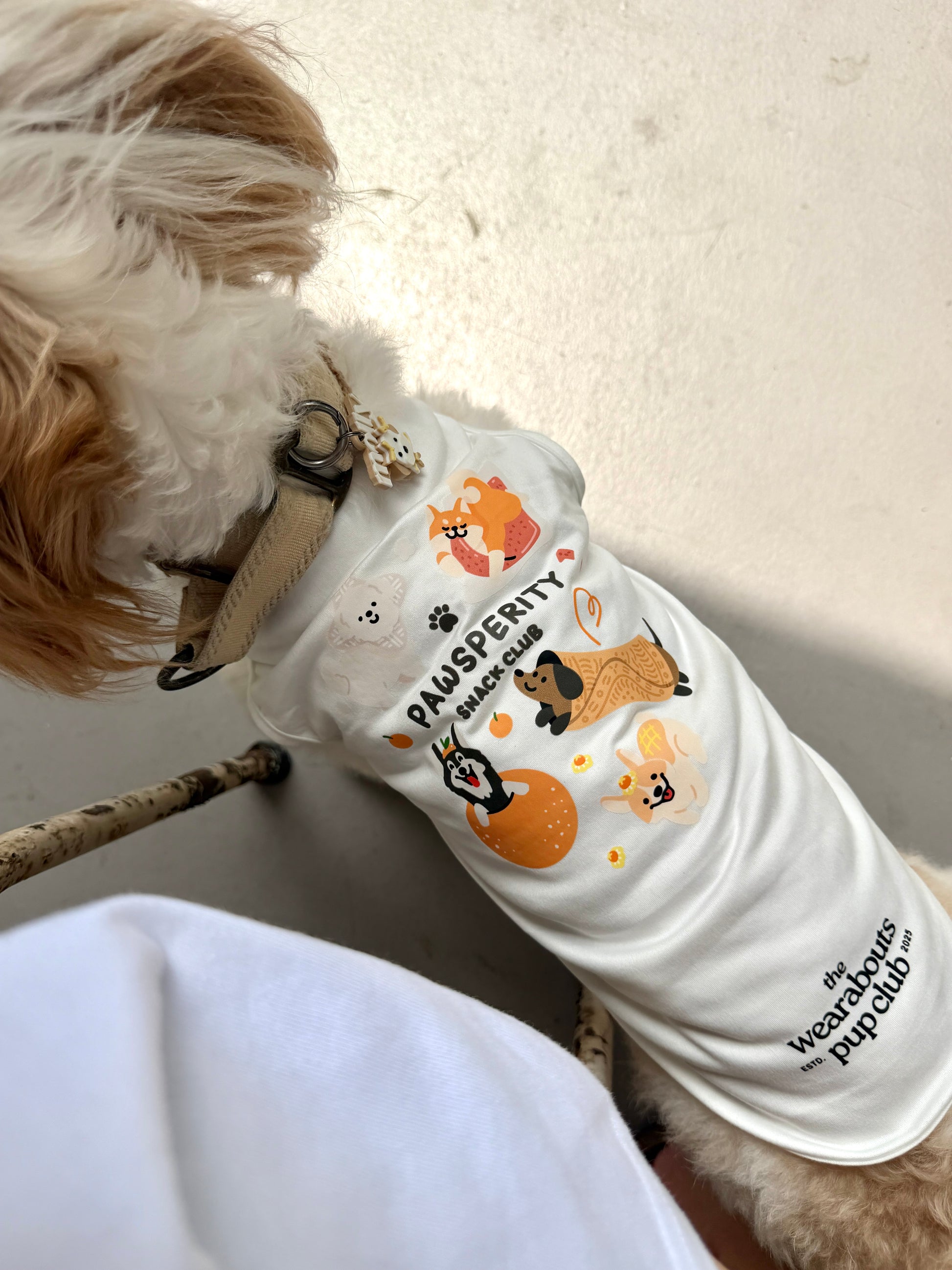 pawsperity snack club pup tee (white)