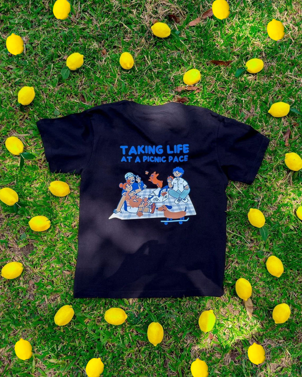 taking life at a picnic pace tee (black)