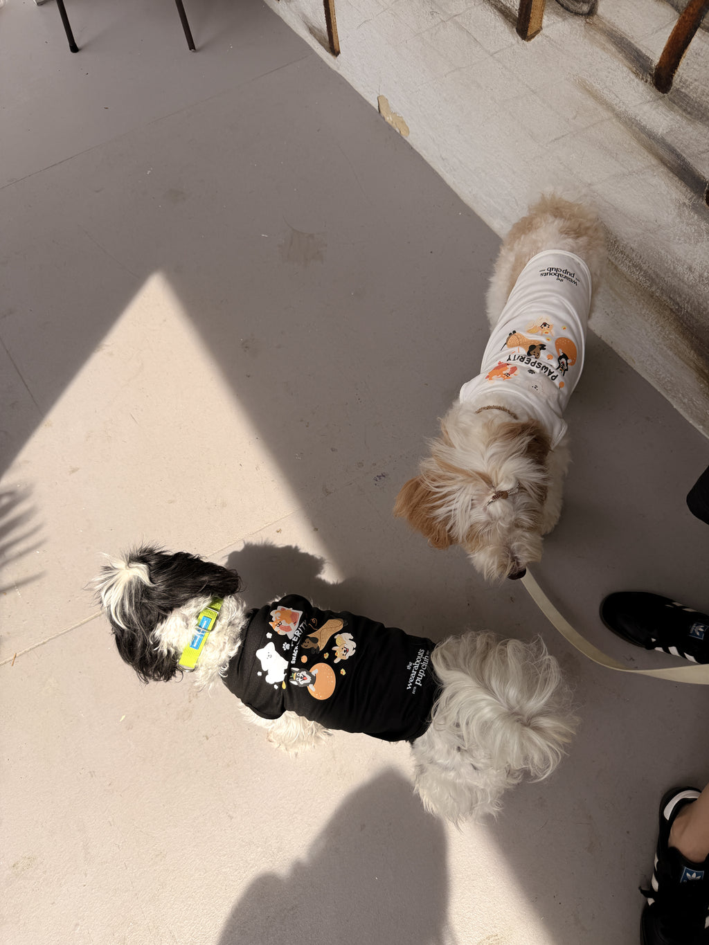 pawsperity snack club pup tee (black)