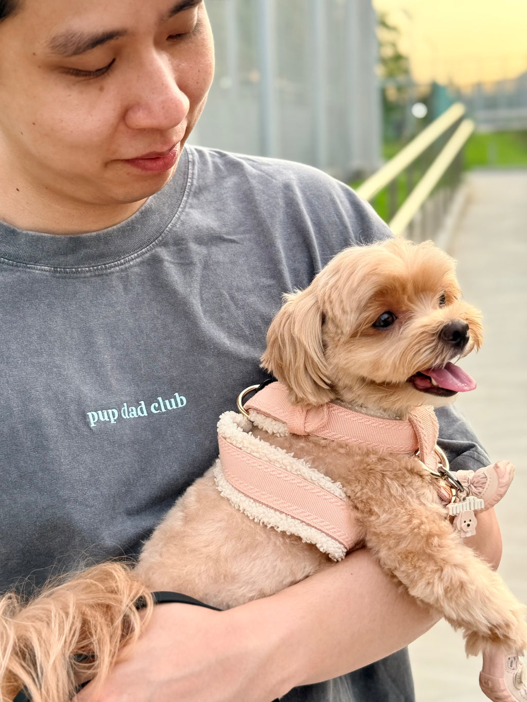 pup dad club tee