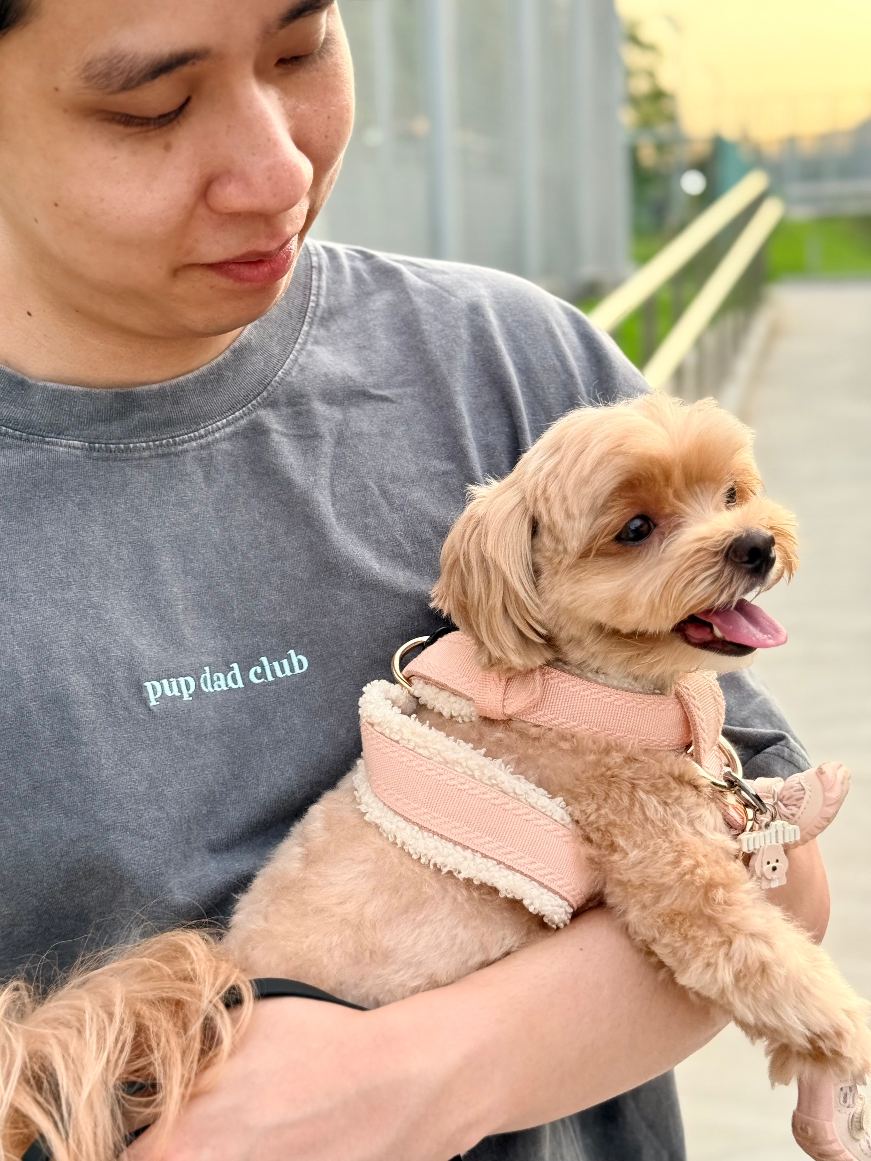 pup dad club tee