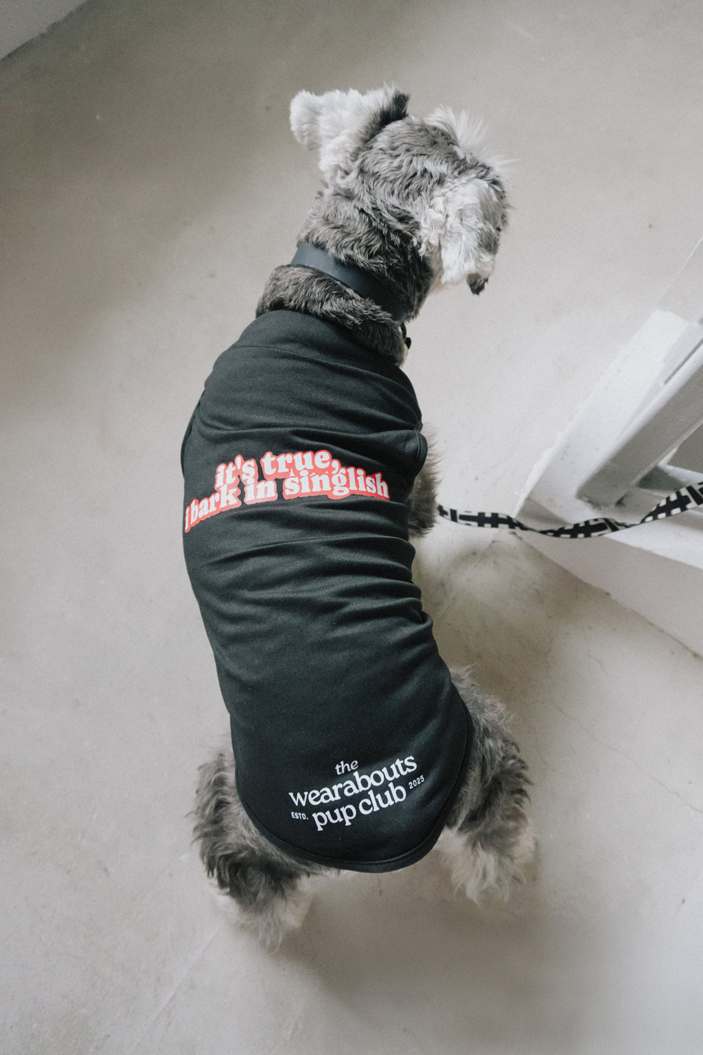 it's true, i bark in singlish pup tee (black)