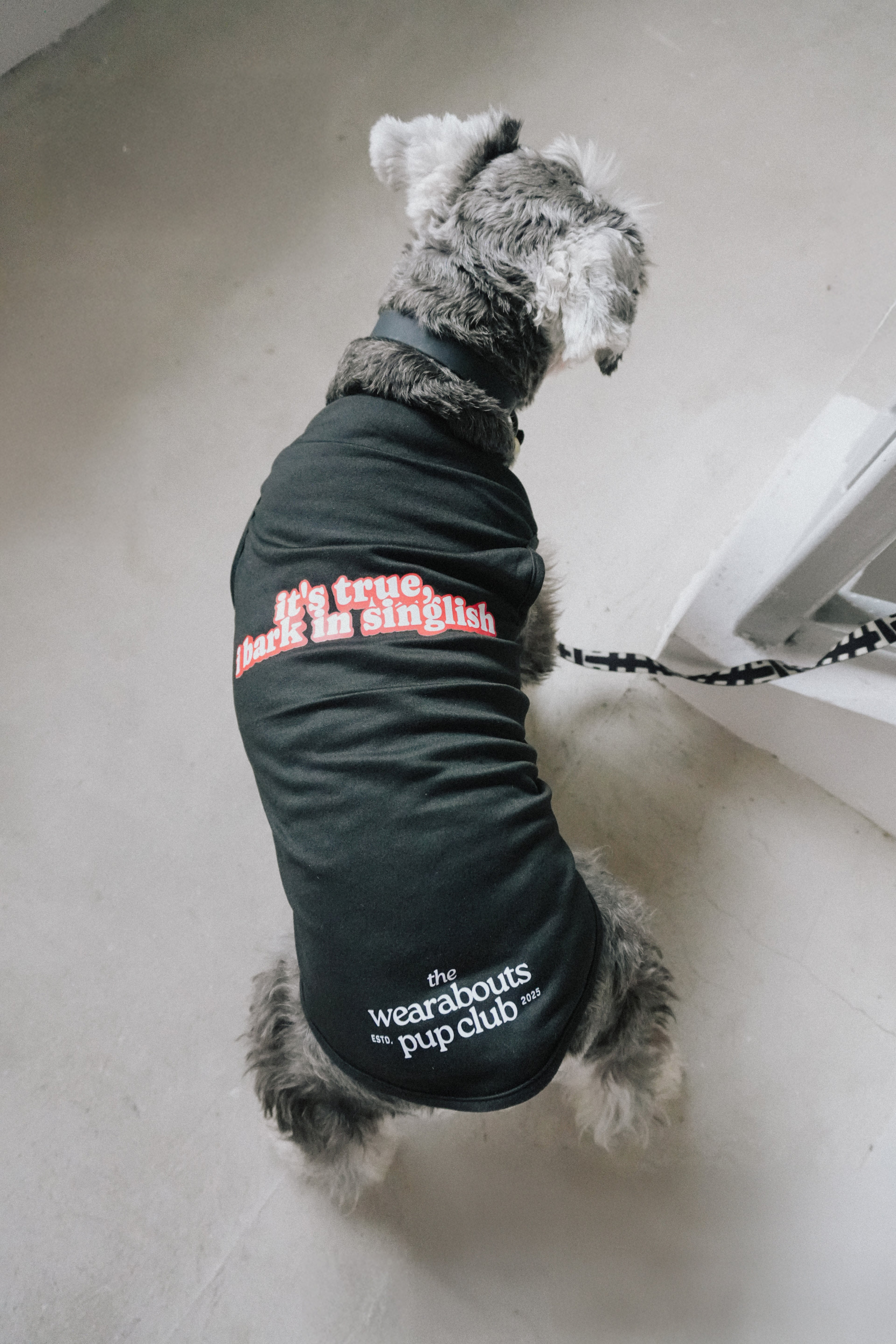 it's true, i bark in singlish pup tee (black)