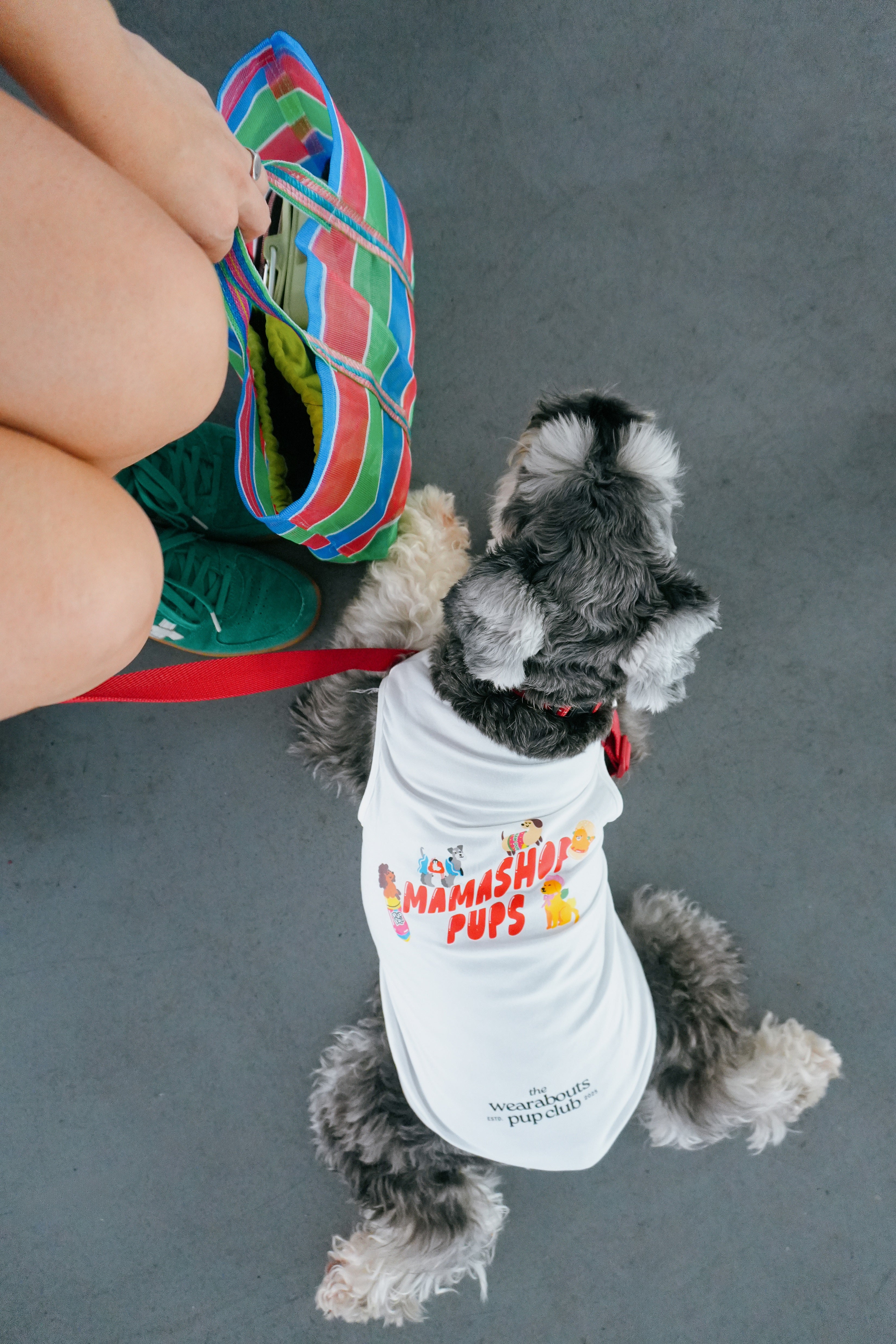 mamashop pups dog tee (white)