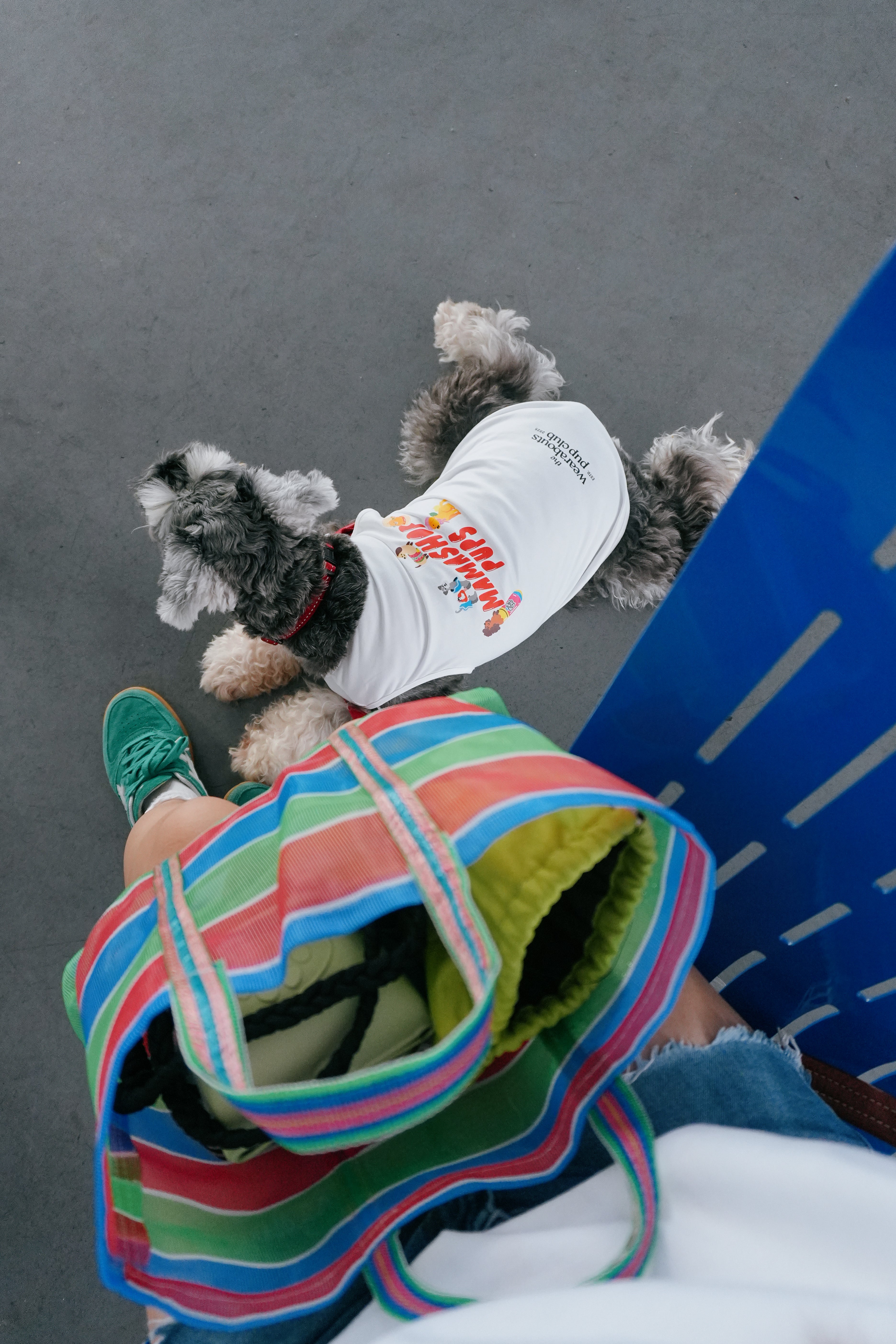 mamashop pups dog tee (white)