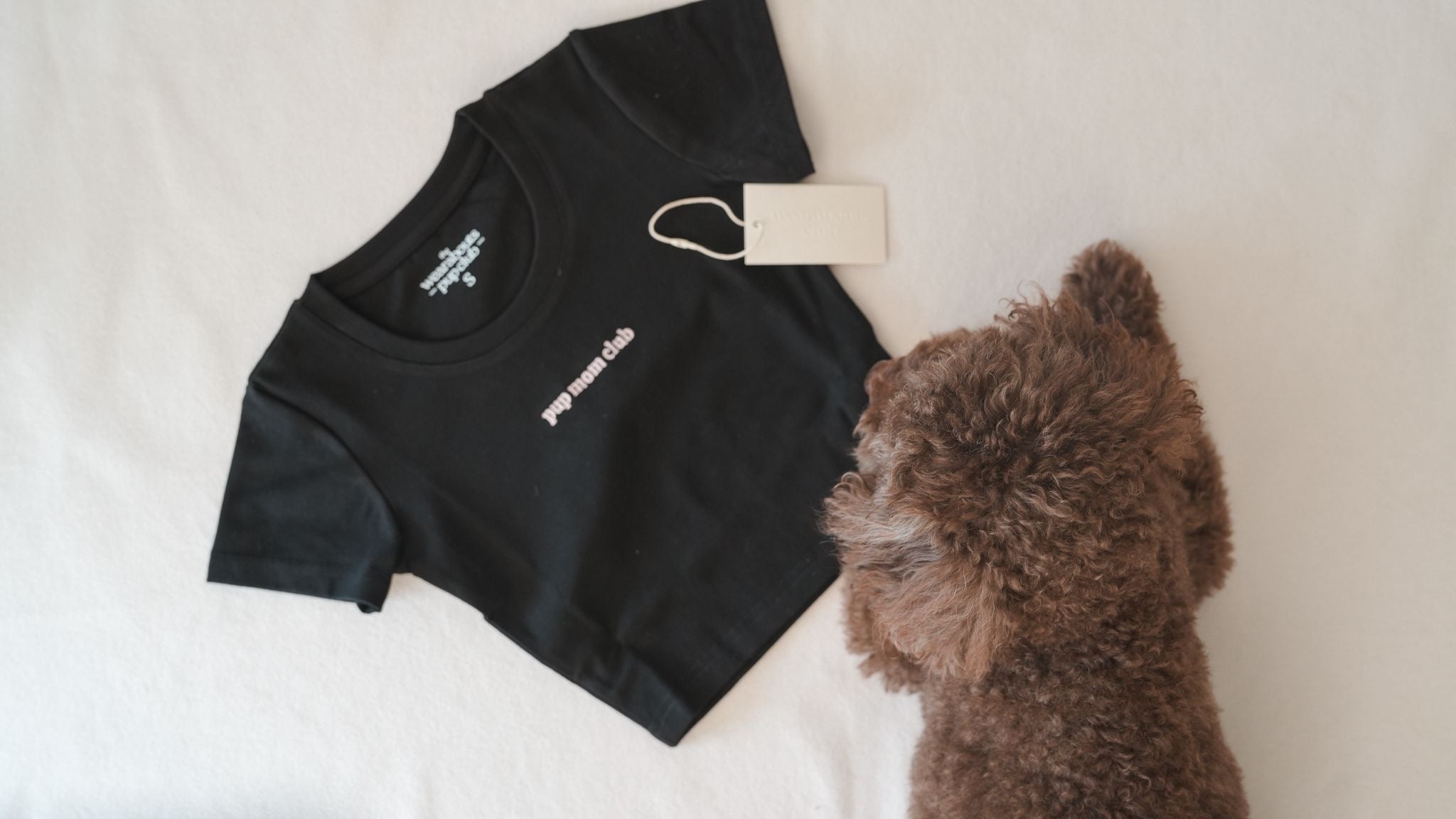 pup mom club cropped tee