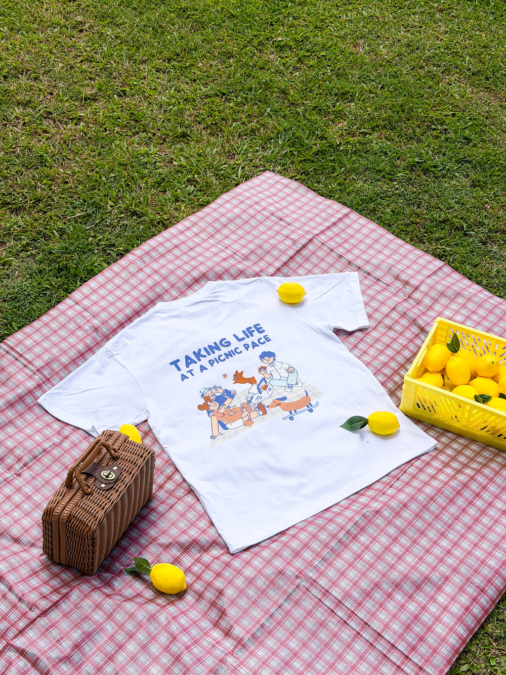 taking life at a picnic pace tee (white)