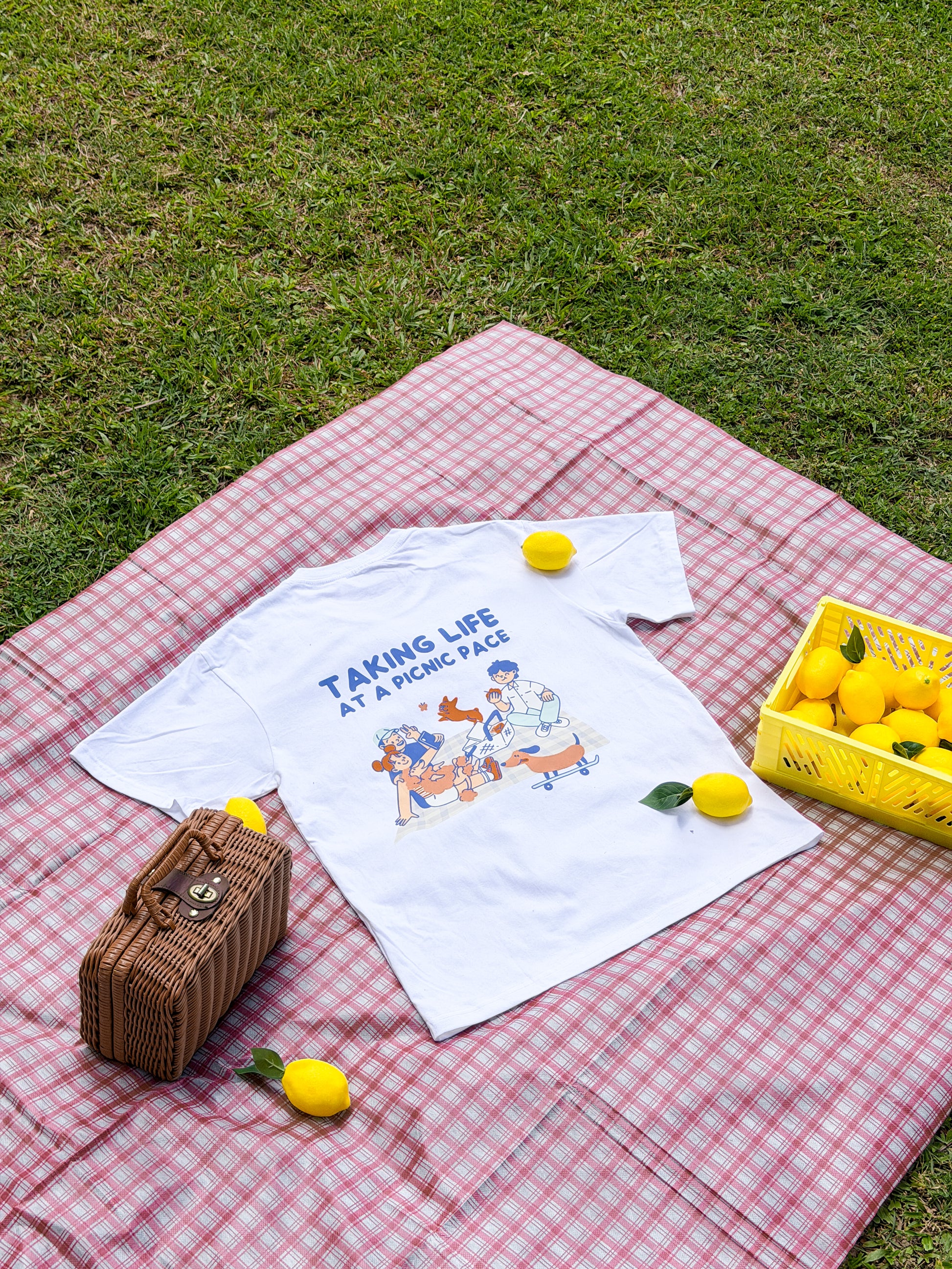 taking life at a picnic pace tee (white)