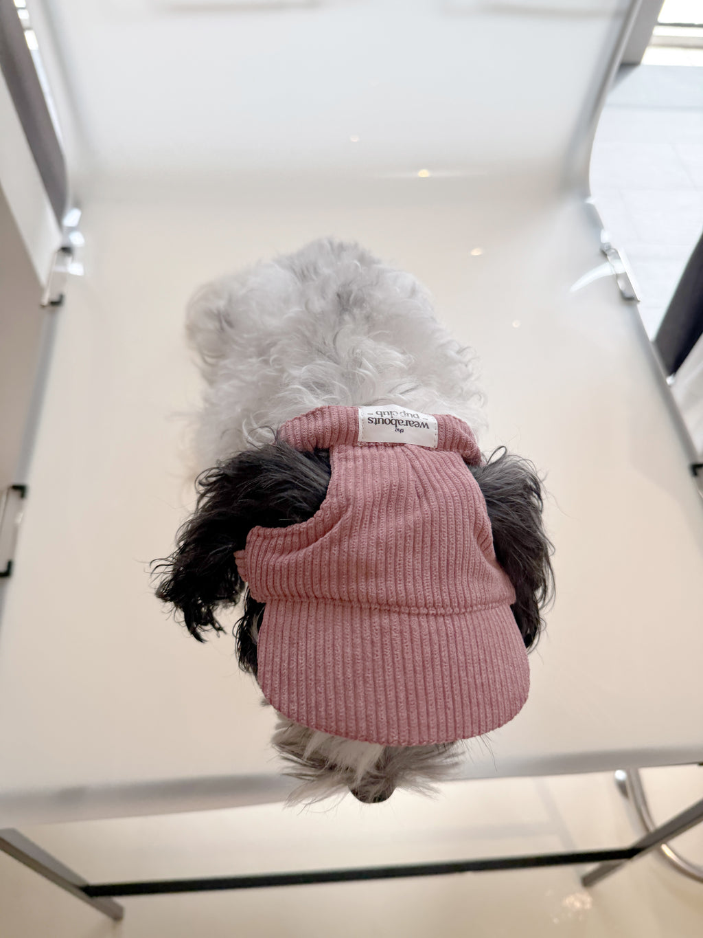 corduroy pup hat (pink)
