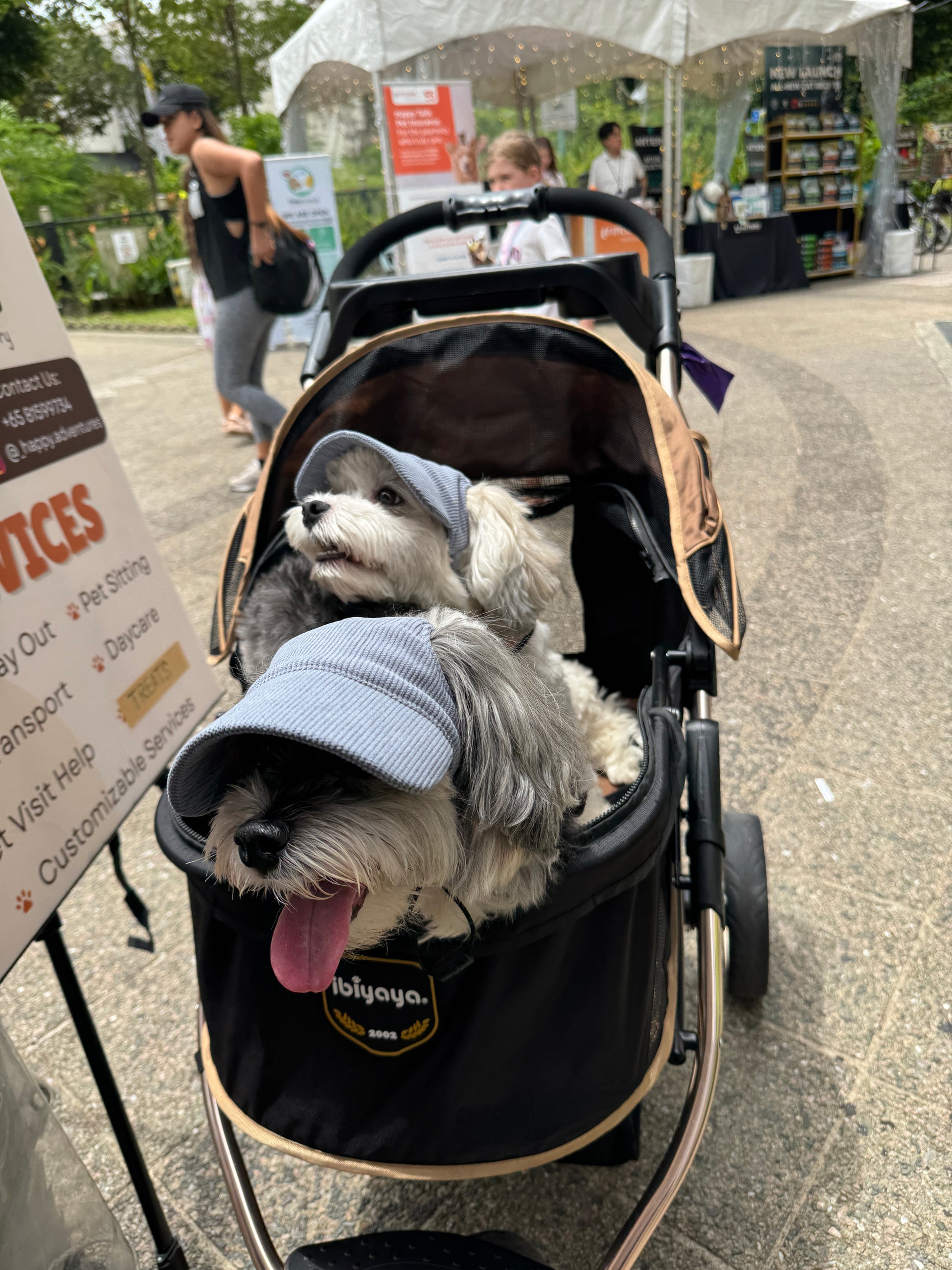 corduroy pup hat (blue)
