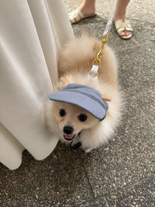 corduroy pup hat (blue)