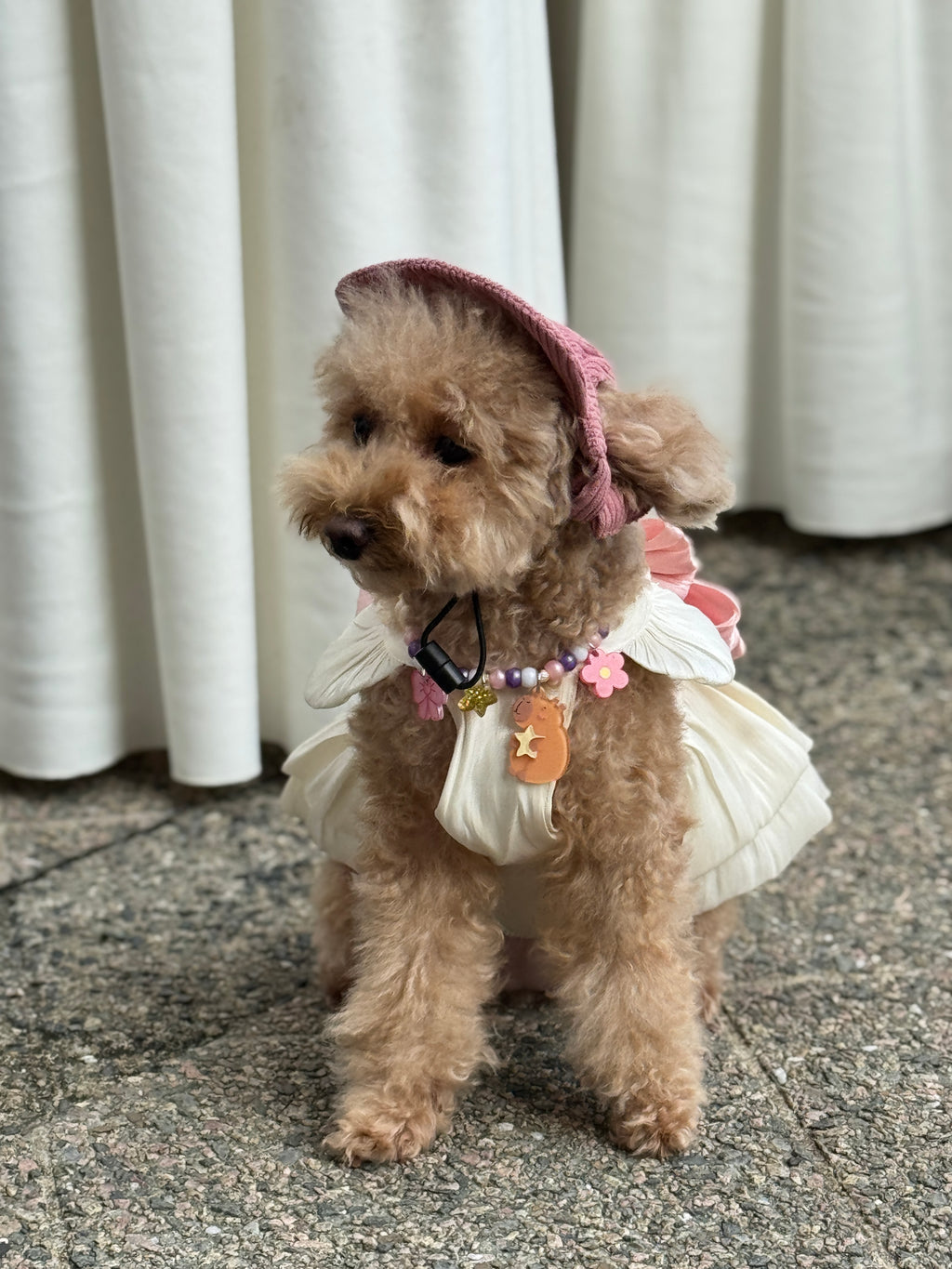 corduroy pup hat (pink)