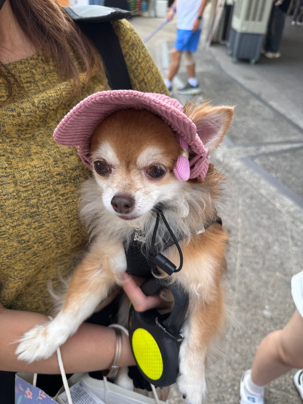 corduroy pup hat (pink)