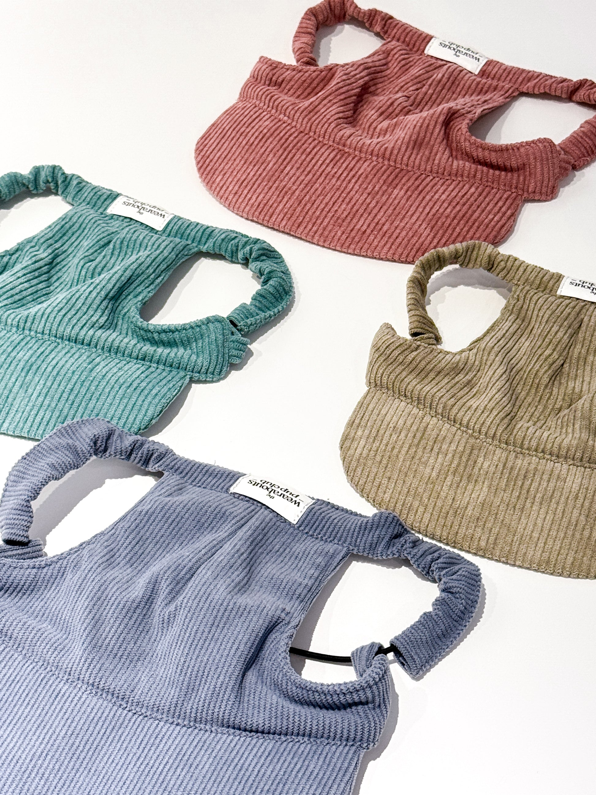 corduroy pup hat (blue)