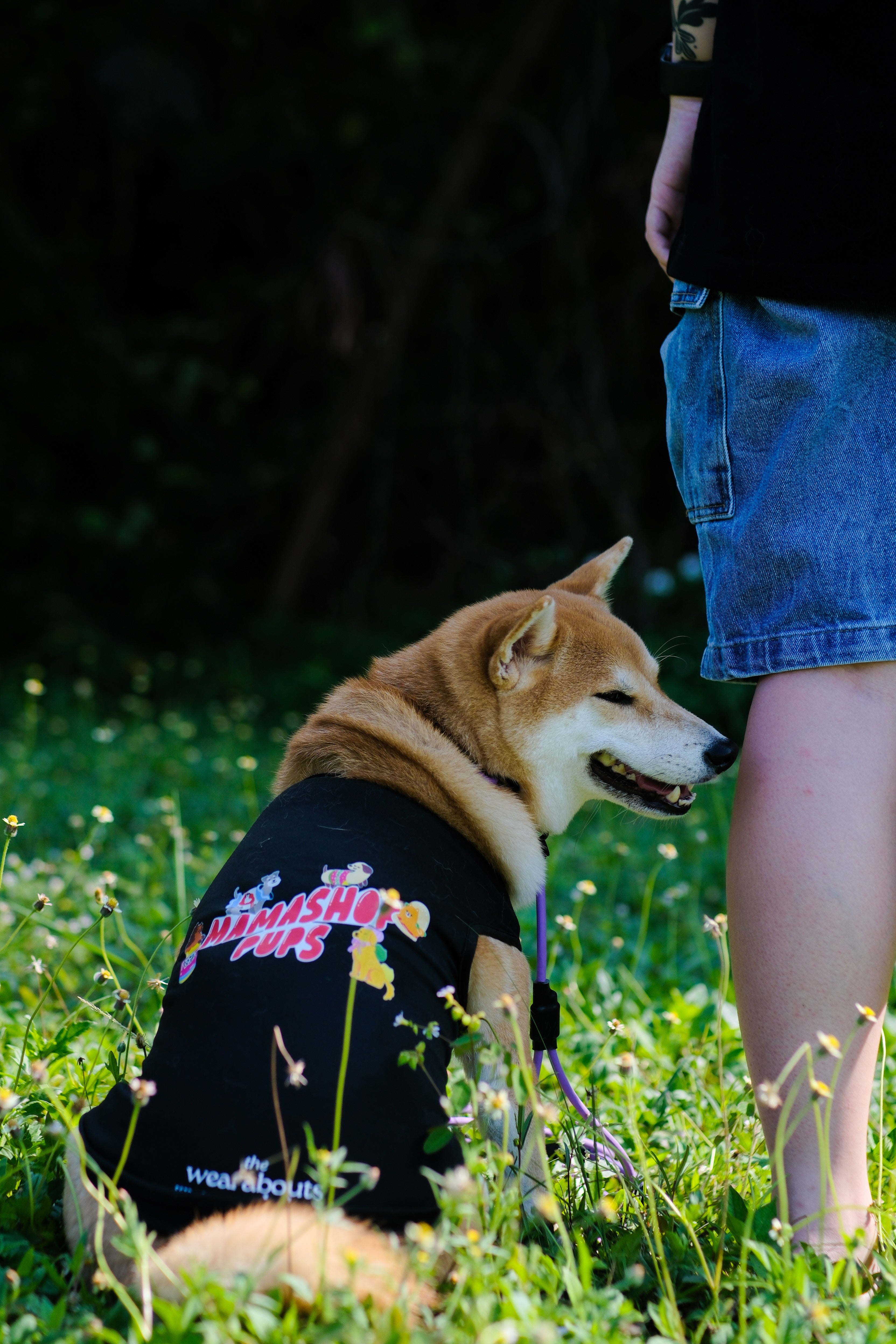 mamashop pups dog tee (black)