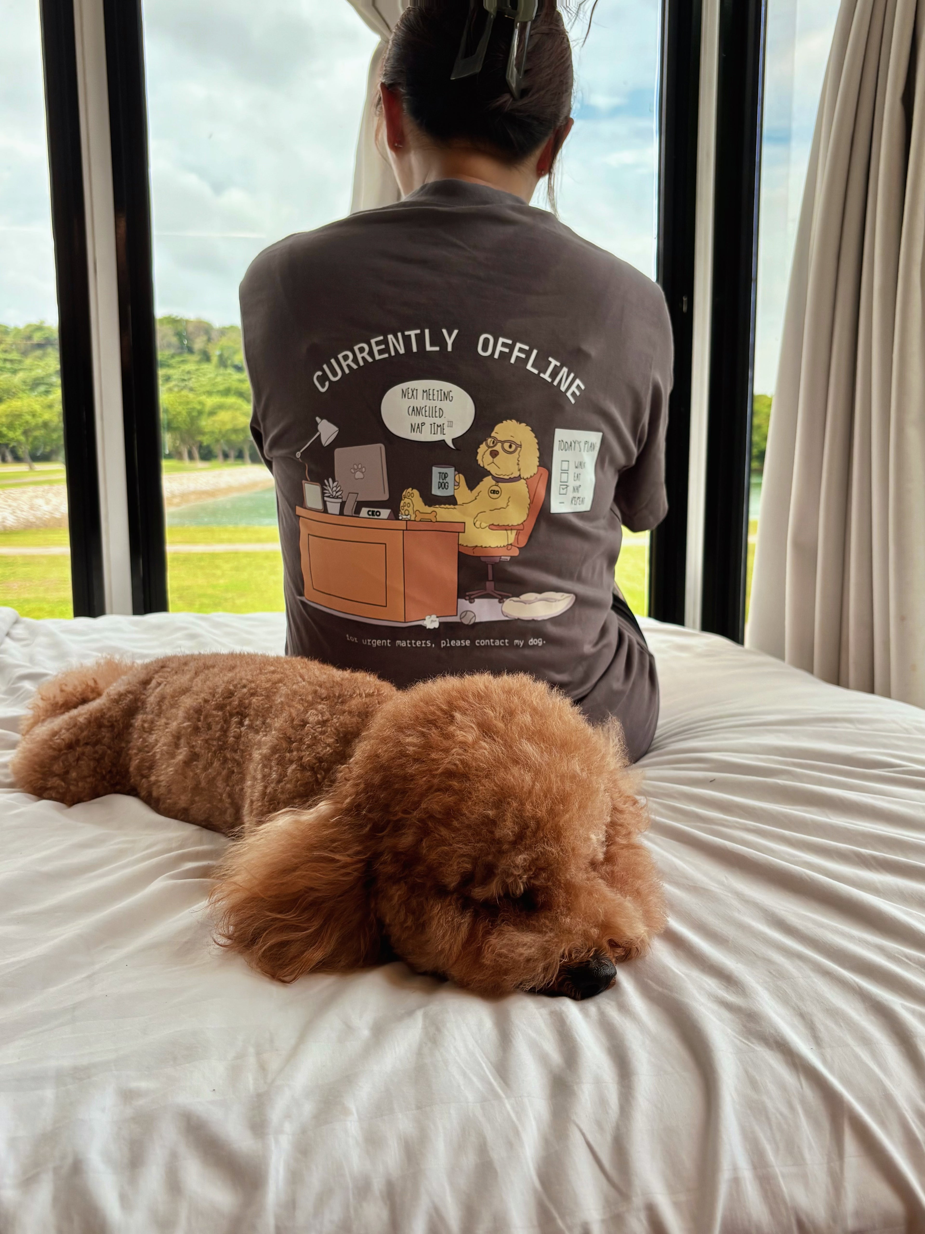 currently offline tee (grey)