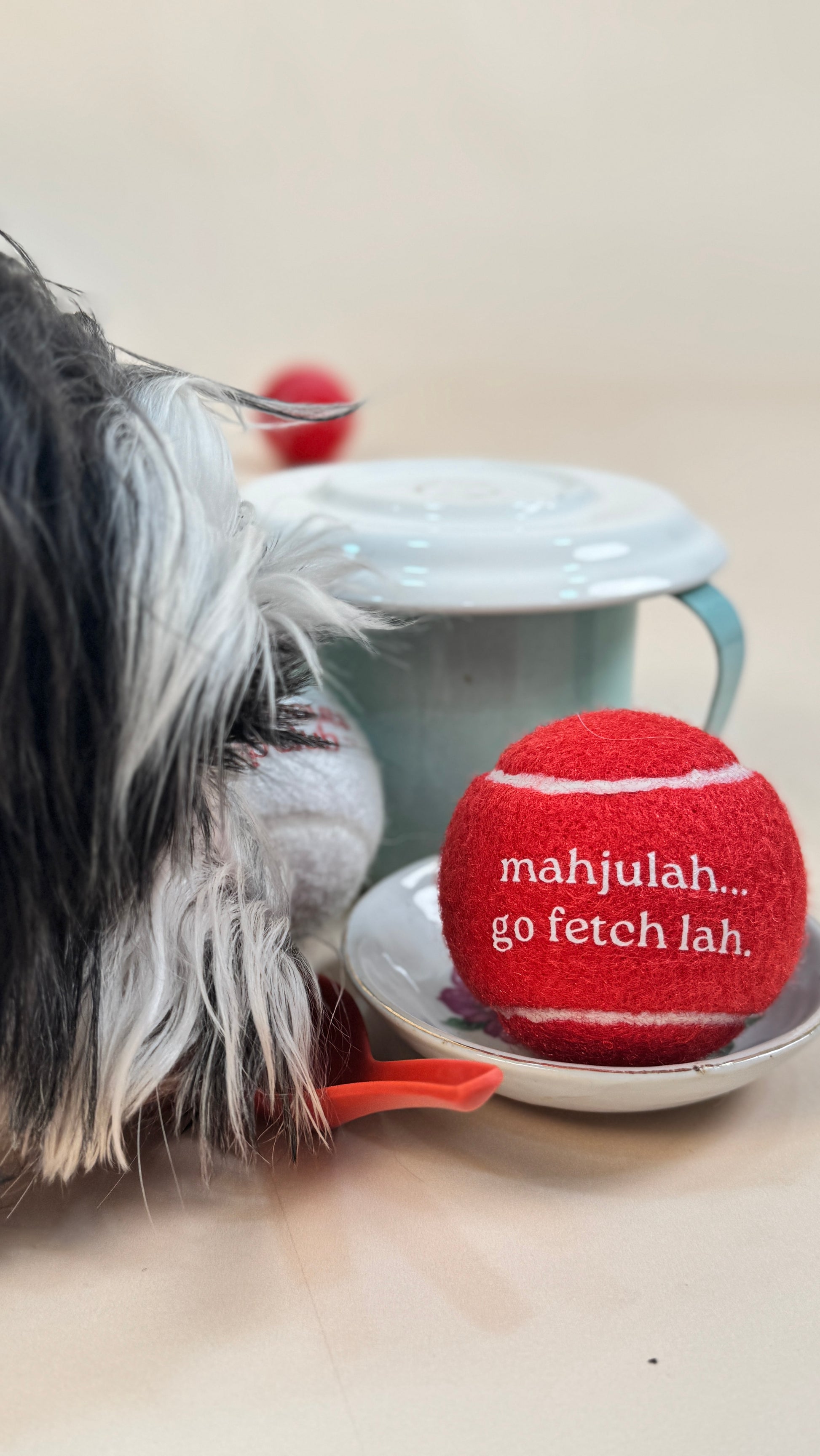 mahjulah...go fetch lah dogette ball (limited)