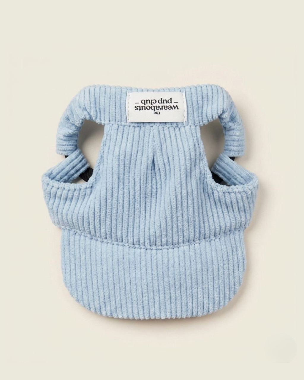 corduroy pup hat (powder blue)