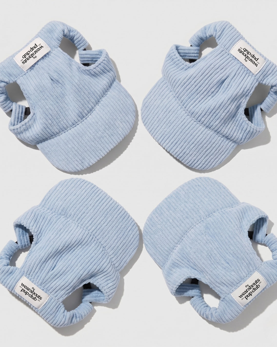 corduroy pup hat (powder blue)