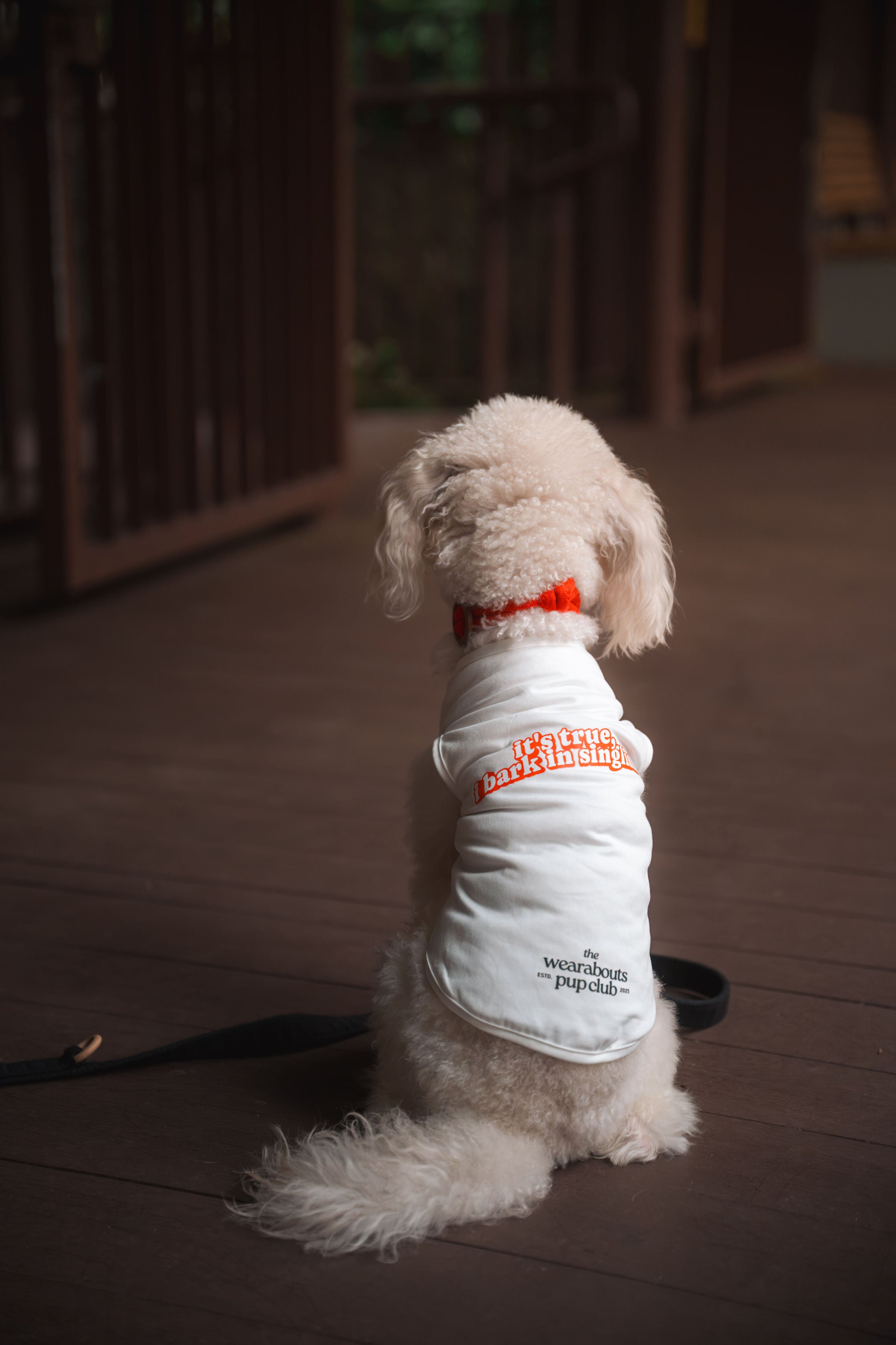it's true, i bark in singlish pup tee (white)