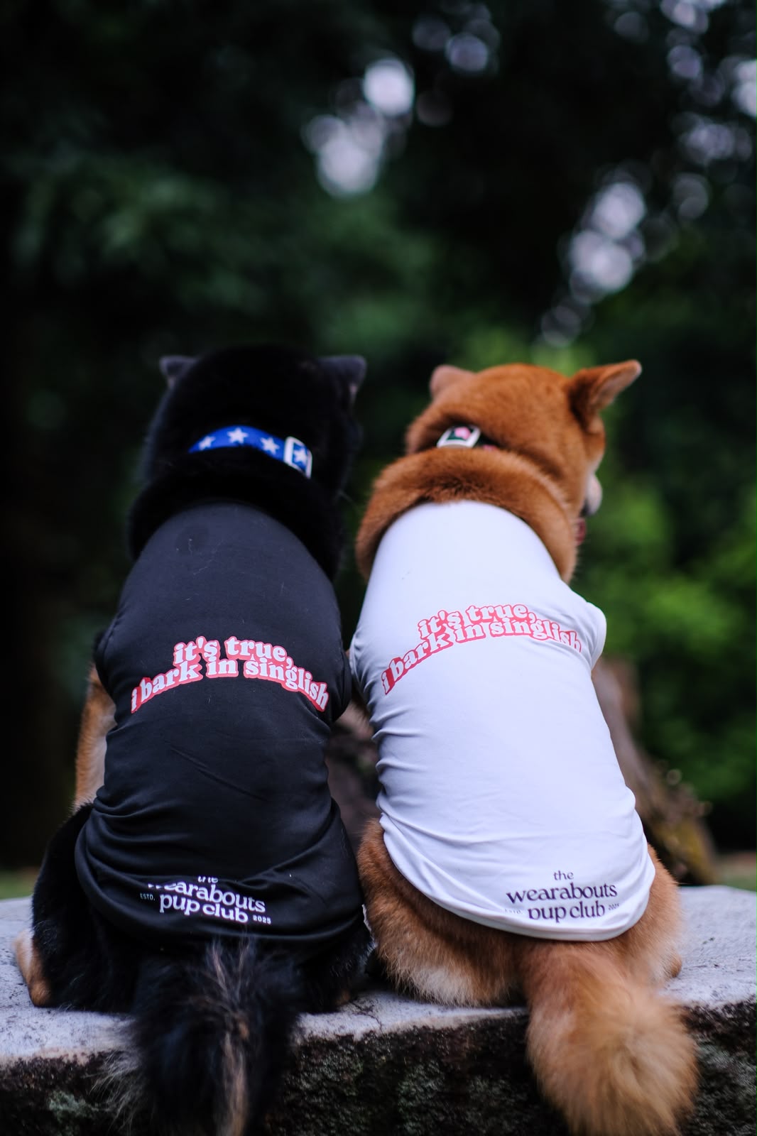 it's true, i bark in singlish pup tee (white)