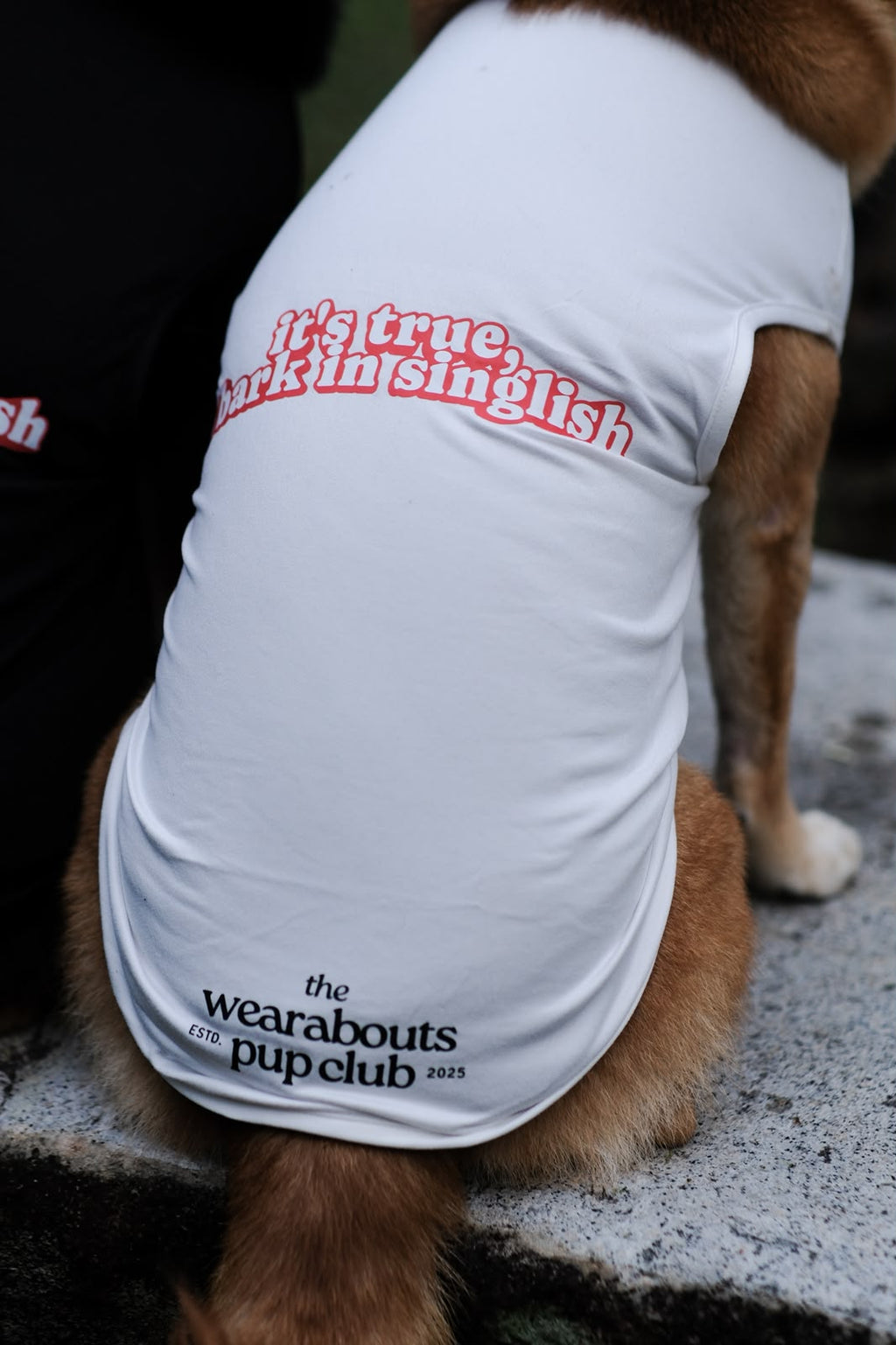 it's true, i bark in singlish pup tee (white)