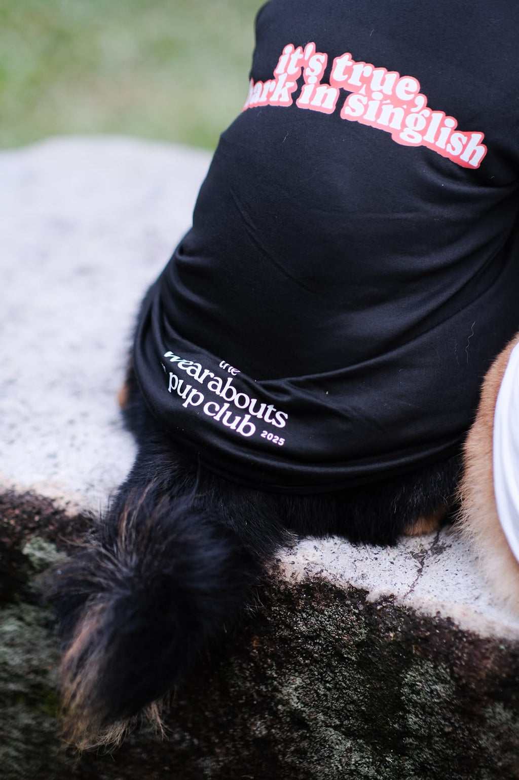 it's true, i bark in singlish pup tee (black)