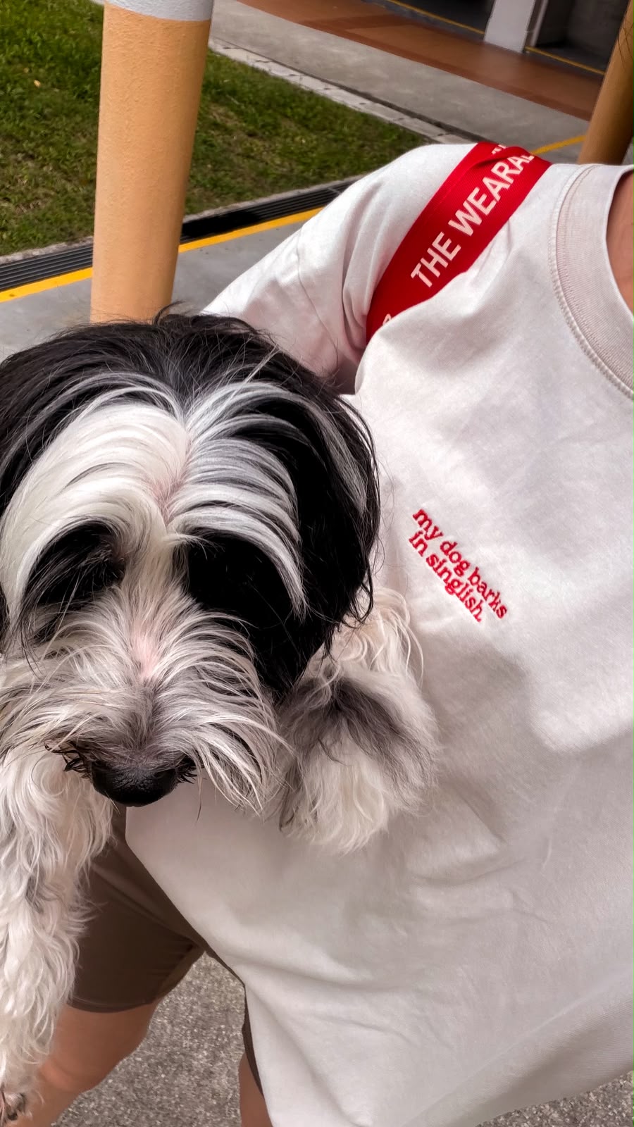 my dog barks in singlish oversized tee