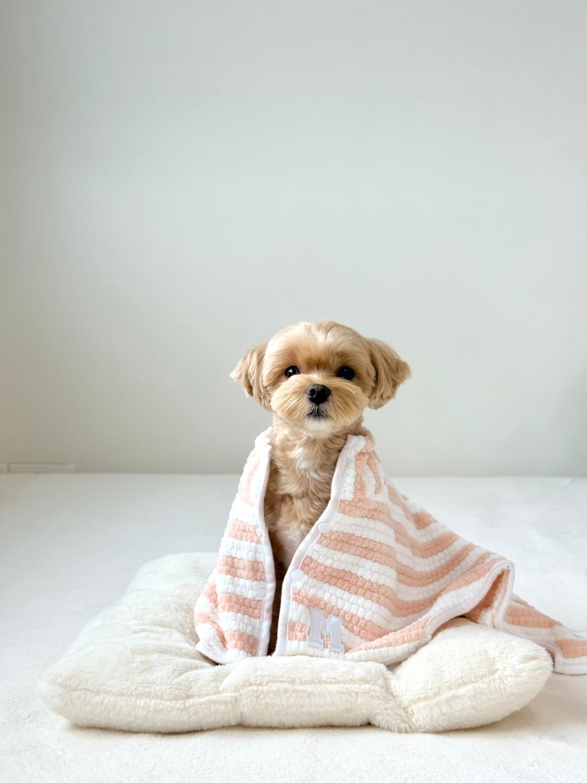 pup bathrobe